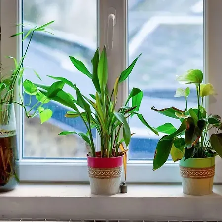 Apartman A : 35 M² Pres Des Plages Fécamp